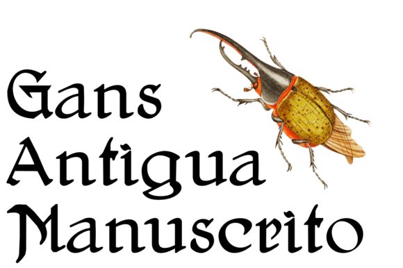 Gans Antigua Manuscrito: A Timeless Handwritten Typeface